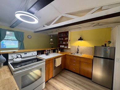 1170 Many Islands Rd, Mammoth Spring, AR 72554 - photo 5