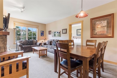 910 Copper Rd unit 219, Frisco, CO 80443 - photo 7