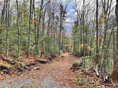 00 Island Pond Rd, Newark, VT 05837 - photo 4