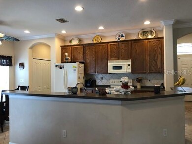 9825 Jasmine Brook Cir, Land O Lakes, FL 34638 - photo 7
