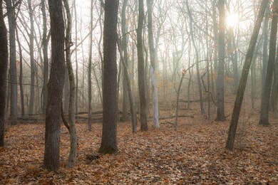 Lot 1 East St, Berlin Township, IL 61356 - photo 6