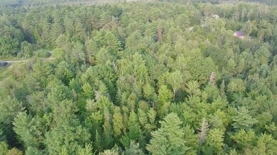 Lot 11-2 N Dexter Rd, Parkman, ME 04443 - photo 4