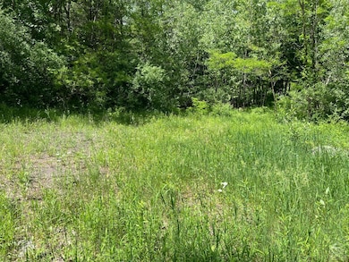 0 Lake Mills Rd unit 153003, Cairo, NY 12413 - photo 5