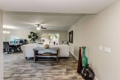 Large Living room
