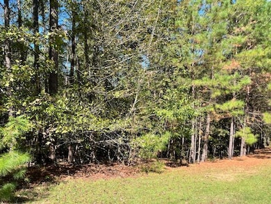 K-18 Colin Reed's Rd, North Augusta, SC 29860 - photo 3