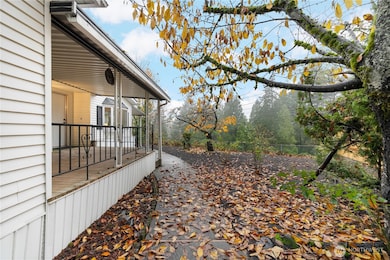 View of the Greenbelt in Backyard