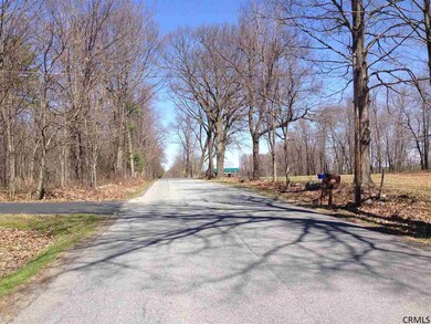 454 Brownell Rd, Ballston Spa, NY 12020 - photo 5