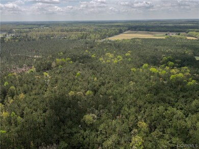 10815 Pole Run Rd, Disputanta, VA 23842 - photo 7