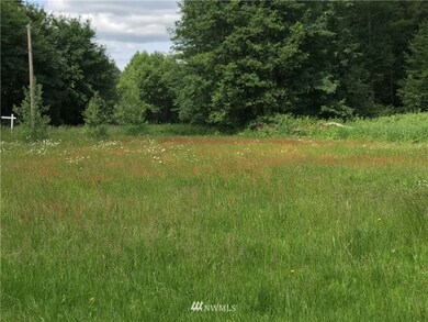 unlisted-address, Orting, WA 98360 - photo 4