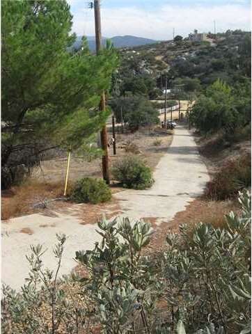 Concrete Driveway
