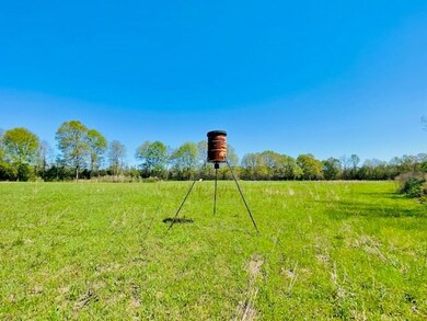 000 S Mary Topps Rd, Franklinton, LA 70438 - photo 5