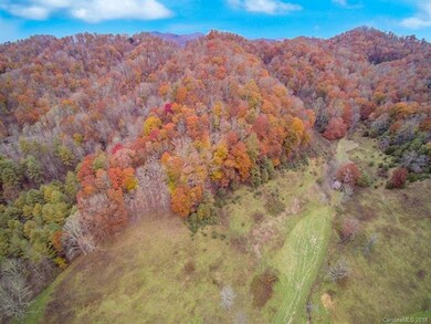 0 Duncan Rd, Jacks Creek, NC 28714 - photo 2