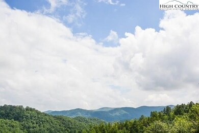 Lot 30 Inkberry Dr, Ferguson, NC 28624 - photo 7