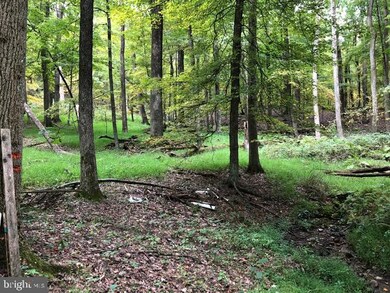 LOT 26D Cove Run Acres Dr, Mathias, WV 26812 - photo 4
