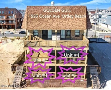GOLDEN GULL