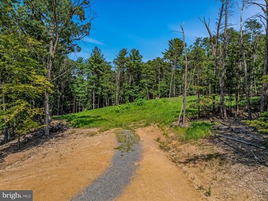 7 Miller Ln, Berkeley Springs, WV 25411 - photo 5