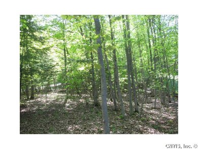 Land/Lot. Moving back into the trees on the land.