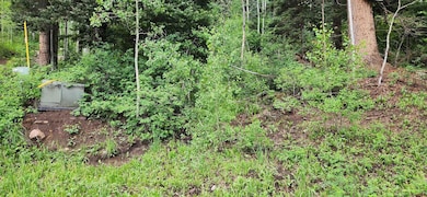 454 Mccoy Creek Dr, Durango, CO 81301 - photo 6