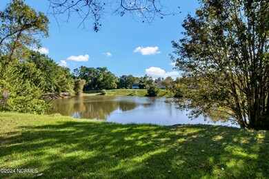 3910 Carretta Ct - Pond1