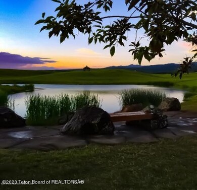 POND VIEW