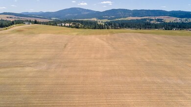 13507 E Gibbs Rd, Valleyford, WA 99023 - photo 2