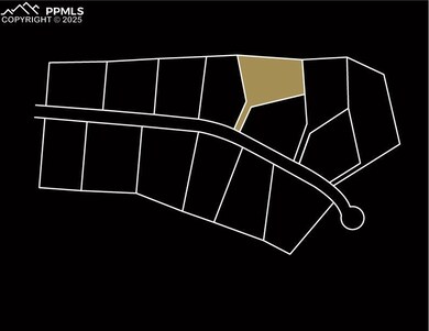20670 Silverado Hill Loop, Colorado Springs, CO 80928 - photo 4