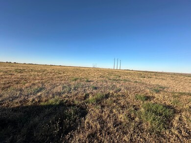 Lot 10 County Road 5330, Shallowater, TX 79363 - photo 7