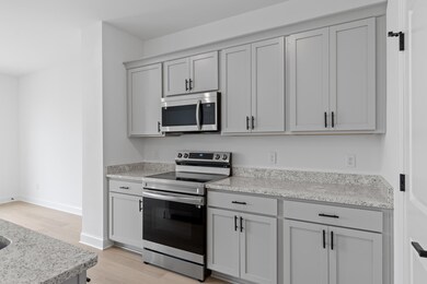 Lily Kitchen 3