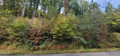 245604_10 (1)