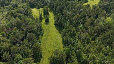 260 County Road 14, Union Springs, AL 36089 - photo 6