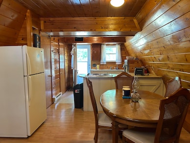 3423 S James Rd, Baldwin, MI 49304 - photo 2