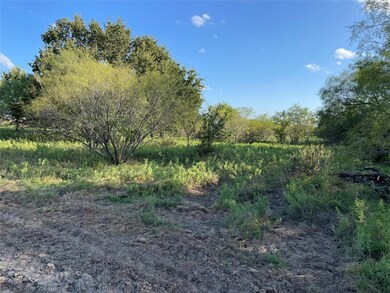 141 Tobiano Trace, Brock, TX 76087 - photo 2