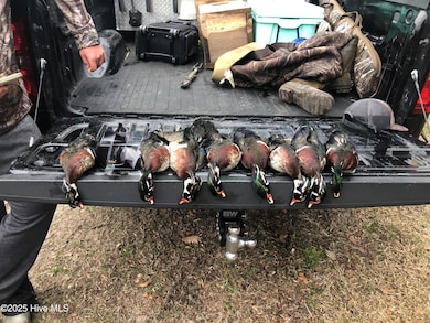 0 Gray Rd, Chocowinity, NC 27817 - photo 7