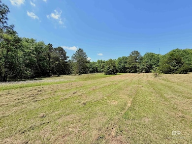 0 Pearson Ln, Robertsdale, AL 36567 - photo 4