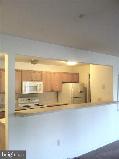 304 Baughmans Ln unit D, Frederick, MD 21702 - photo 7