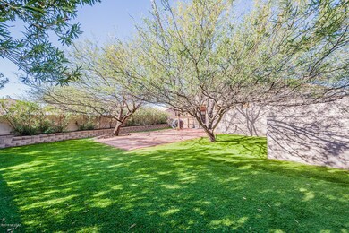 8351 backyard