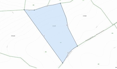 Lot 275, topo close