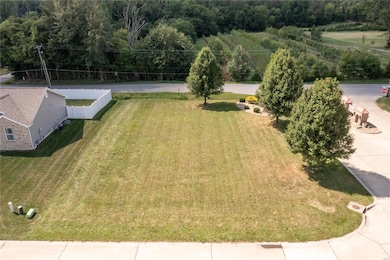 689 Vinci Dr, Caseyville, IL 62232 - photo 3