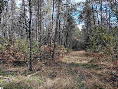 1433 S Peacock Trail, Baldwin, MI 49304 - photo 5