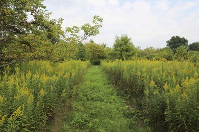 0 Charter Dr unit 50153638, Flint, MI 48532 - photo 5