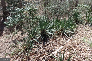 1006 Golden West Way, Lusby, MD 20657 - photo 5