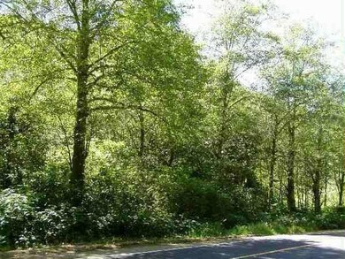 0 Little Nestucca Hwy unit 11-953, Cloverdale, OR 97112 - photo 4