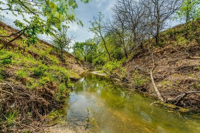 333 Murray Rd, Weatherford, TX 76082 - photo 4