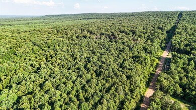 0 SE Rd unit 10123332, Bradford, AR 72020 - photo 5