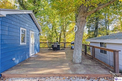 646 Rough River Resort Rd, McDaniels, KY 40152 - photo 3