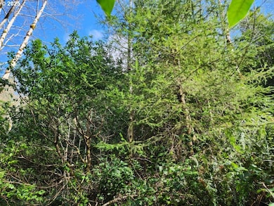 0 Jefferson St unit Lot 1&6 391642538, Port Orford, OR 97465 - photo 6