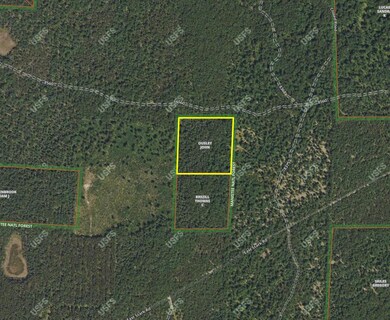 V/L E Stark Rd, Free Soil, MI 49411 - photo 5