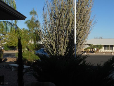 Front Yard Landscape