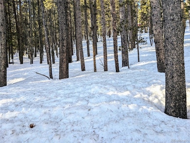 Lot 677 Alice Rd, Idaho Springs, CO 80453 - photo 3