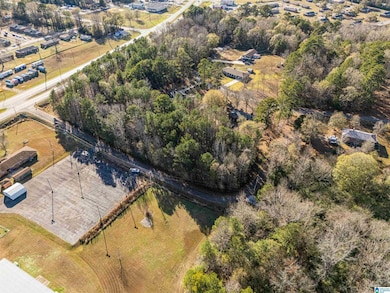 0 Northside Dr, Piedmont, AL 36272 - photo 6